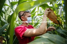 David Holding, Associate Professor of Agronomy and Horticulture, and Caleb Wehrbein, senior in plant