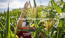 David Holding, Associate Professor of Agronomy and Horticulture, and Caleb Wehrbein, senior in plant