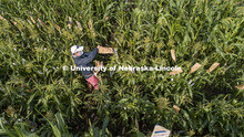 David Holding, Associate Professor of Agronomy and Horticulture, and Caleb Wehrbein, senior in plant