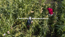 David Holding, Associate Professor of Agronomy and Horticulture, and Caleb Wehrbein, senior in plant