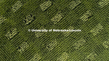 David Holding, Associate Professor of Agronomy and Horticulture, and Caleb Wehrbein, senior in plant