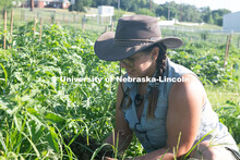 Master Gardeners work the garden at  Cooper Farm in Omaha, Nebraska. July 22, 2020. 