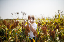 Alexis Finch, a sophomore from Omaha, measures stem diameters in the sorghum test plots at 84th and 