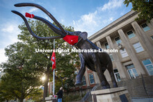 Joel Nielsen, Graphics Specialist/Project Coordinator for the University of Nebraska State Museum, r