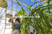 Nebraska's Cleo Babor, a sophomore plant biology major and new McNair Scholar, and David Holding, as