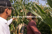Professor David Holding and Cleopatra Babor discuss which plants have been pollinated in his researc