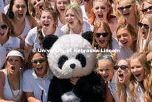 Sororities celebrate the arrival of new members during Sorority Rush Bid on the Vine Street fields. 