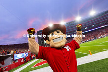 Herbie Husker is on the field in Memorial Stadium. Nebraska vs Northwestern University homecoming ga
