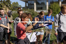 Kim Todd describes various landscape grasses as her HORT  214, Herbaceous Landscape Plants class wal