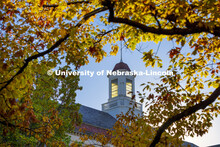 The sun shows through Love Library’s cupola which is framed by fall leaves. Fall on city campus. N