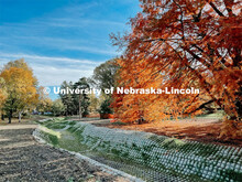 Fall on East Campus. November 6, 2021. 