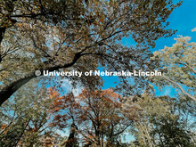 Fall on East Campus. November 6, 2021. 