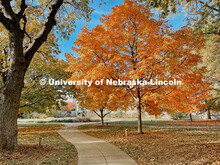 Fall on East Campus. November 6, 2021. 