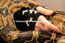 Students pet and hold animals during the End of Year Bash inside the East Campus Union on Saturday, 