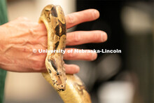 Students pet and hold animals during the End of Year Bash inside the East Campus Union on Saturday, 