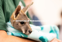 Students pet and hold animals during the End of Year Bash inside the East Campus Union on Saturday, 