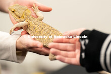 Students pet and hold animals during the End of Year Bash inside the East Campus Union on Saturday, 