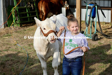 Showing cattle at the 4-H Logan County Fair in Stapleton, Nebraska. August 11, 2022. 