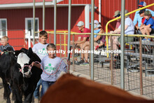 Showing cattle at the 4-H Logan County Fair in Stapleton, Nebraska. August 11, 2022. 
