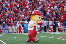 Lil’ Red dances on the field. Nebraska vs. Georgia Southern football in Memorial Stadium. Septembe