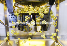 Each sample is popped in a popper identical to those used in movie theaters. The sample is measured 