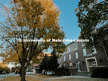 Fall on City Campus. November, 2022. Photos by Katie Black and Taylor DeMaro / University Communicat
