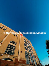 Fall on City Campus. November, 2022. Photos by Katie Black and Taylor DeMaro / University Communicat