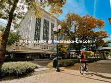 Fall on City Campus. November, 2022. Photos by Katie Black and Taylor DeMaro / University Communicat
