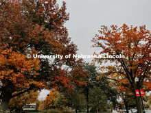 Fall on City Campus. November, 2022. Photos by Katie Black and Taylor DeMaro / University Communicat