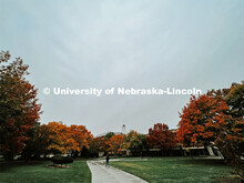 Fall on City Campus. November, 2022. Photos by Katie Black and Taylor DeMaro / University Communicat