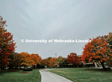 Fall on City Campus. November, 2022. Photos by Katie Black and Taylor DeMaro / University Communicat