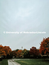 Fall on City Campus. November, 2022. Photos by Katie Black and Taylor DeMaro / University Communicat