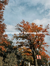 Fall on City Campus. November, 2022. Photos by Katie Black and Taylor DeMaro / University Communicat