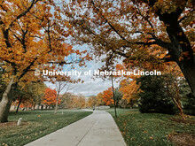 Fall on City Campus. November, 2022. Photos by Katie Black and Taylor DeMaro / University Communicat