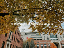 Fall on City Campus. November, 2022. Photos by Katie Black and Taylor DeMaro / University Communicat