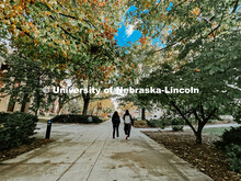 Fall on City Campus. November, 2022. Photos by Katie Black and Taylor DeMaro / University Communicat