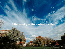 Fall on City Campus. November, 2022. Photos by Katie Black and Taylor DeMaro / University Communicat