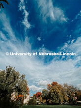 Fall on City Campus. November, 2022. Photos by Katie Black and Taylor DeMaro / University Communicat