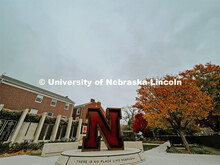 Fall on City Campus. November, 2022. Photos by Katie Black and Taylor DeMaro / University Communicat