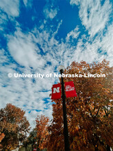 Fall on City Campus. November, 2022. Photos by Katie Black and Taylor DeMaro / University Communicat