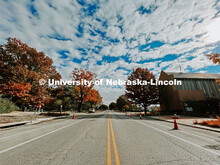 Fall on City Campus. November, 2022. Photos by Katie Black and Taylor DeMaro / University Communicat