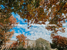 Fall on City Campus. November, 2022. Photos by Katie Black and Taylor DeMaro / University Communicat