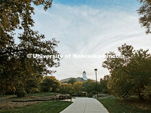 Fall on City Campus. November, 2022. Photos by Katie Black and Taylor DeMaro / University Communicat