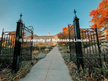 Fall on City Campus. November, 2022. Photos by Katie Black and Taylor DeMaro / University Communicat