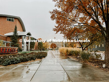 Fall on City Campus. November, 2022. Photos by Katie Black and Taylor DeMaro / University Communicat