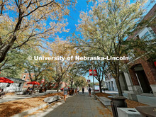 Fall on City Campus. November, 2022. Photos by Katie Black and Taylor DeMaro / University Communicat