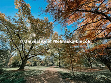 Fall on East Campus. November 10, 2022. 