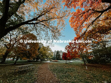 Fall on East Campus. November 10, 2022. 