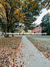 Fall on East Campus. November 10, 2022. 