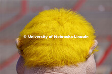 Closeup of Herbie's yellow / blonde hair. New Herbie photoshoot. April 7, 2023. 